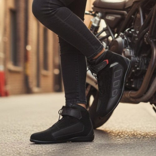 PS-BUT-DARDO (1).jpg